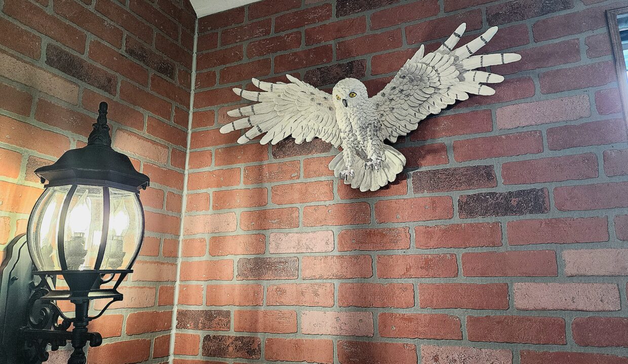 Owl in the theater room at Three Wizards, a vacation rental in The Forgotten Forest in Kodak (Sevier County) Tennessee. Airbnb, VRBO, Book Direct